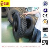 ECE Approved Heavy Truck Radial Tyre (315/70R22.5)