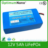 Shenzhen LiFePO4 Lithium Ion Battery12V