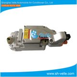 High Quality Newly Designed Auto A/C Electric Compressor