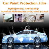 Water Proof Maintance Free Clear Auto Protective Film