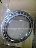 Excavator Travel Bearing R196z-4