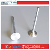 Exhaust Valve for Deutz Diesel Engine 0223 2717