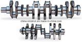 Hot Sale Crankshaft 61560020024 of HOWO Sinotruk