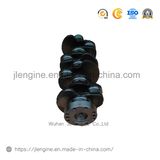 Forged Steel Crankshaft 4b Engine Spare Parts 3960621