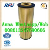 1041800109 High Quality Oil Filter for Mercedes Benz Hengst