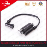 China Supplier Ignition Coil for GS200 200cc Motorcycles for Sale