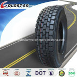 Radial Trailer Tyre, Radialtruck Tyre 10r22.5