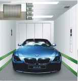 Car Lift, Elevator with Painted Steel Finish (XNHT-002)