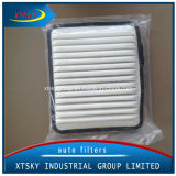 Xtsky Auto Part High Quality Auto Air Filter 19160306