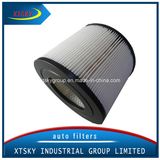 Xtsky Auto Part High Quality Auto Air Filter (OE: 5173166)