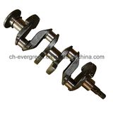 China OEM and ODM Engine Crankshaft