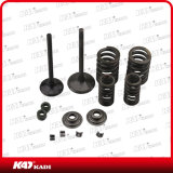 Motorcycle Spare Parts Engine Parts Motorcycle Valve Set for Gxt200