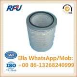 P55-1575 High Quality Air Filter for Nissan