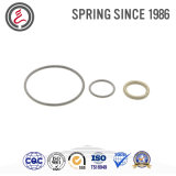 Carbon Steel Oil Seal Spring for Machine Sealing Elements