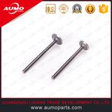 Motorcycle Partshi-Per50cc Intake & Exhaust Valve Set