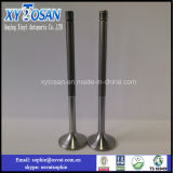 Wholesale High Quality Factory Price Engine Valves for Weichai 250