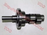 Motorcycle Parts Motorcycle Camshaft Moto Shaft Cam for Gl145