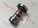 Motorcycle Parts Motorcycle Camshaft Moto Shaft Cam for Dy100