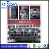 Cylinder Head for Toyota 1y2y 2L2z 2e2h2j 3rz5k 5L
