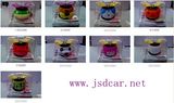 Solar Energy Flower Car Decoration (JSD-G0050)