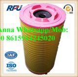 40943504 Air Filter for Mercedes Benz Scania Volvo (40943504)