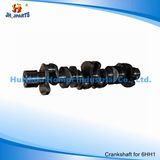 Auto Spare Part Crankshaft for Isuzu 6hh1 8-97115177-0 8-90063828-5