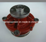 Deutz Engine Parts-1013 Water Pump (iron)