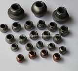 Alloy Iron Bush for Automotive Horn