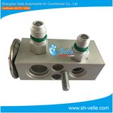 Hot Selling Vehicle A/C Expansion Valve