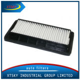 Car Air Filter Assy 28113-02510 for Atoz