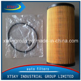 China High Performance Auto Fuel Filter 332g0652