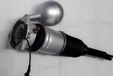 for Volkswagen Phaeton Rear Air Ride Suspension Strut