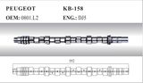 Auto Camshaft for Peugeot (0801. L2)