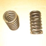 Valve Compressing Spring for Engine Bfm1013