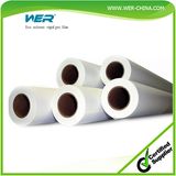 Main Support Eco Solvent Rigid PVC Film