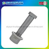 Wheel Nut and Hub Bolt for European Truck Man