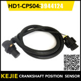 Truck Camshaft Crankshaft Position Sensor Bosch 0281002248 Volvo 3944124