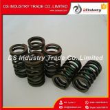 Dongfeng Truck Engine Parts 6L Valve Spring 4936076