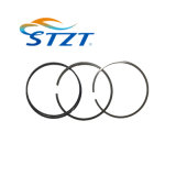 Auto Parts Piston Rings 1125 7559 434 for BMW