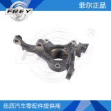 Auto Steering Knuckle 31216761576 for X5 E53