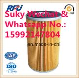 Oil Filter Auto Parts for Mitsubishi 30840-06010