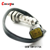 Auto Parts Oxygen Sensor, OEM: 5wy3173A, Carrefour QQ, Geely, Li Fan