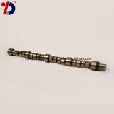 Truck Part-Camshaft for Mitsubishi