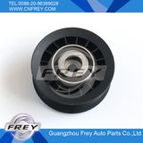 Sprinter Belt Idler Pulley 6012001070 Mercedes