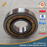 Drive Shaft Center Bearing