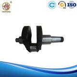 Zs1105 Diesel Engine Crankshaft Double Bearing Type