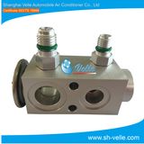 Aluminum Thermal Expansion Valve for Auto AC System Berg OE#1000463486