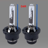D4s D4r Xenon Bulb 12V 35W HID Headlight